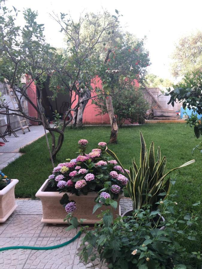 Paese Museo Apartamento San Sperate Exterior foto